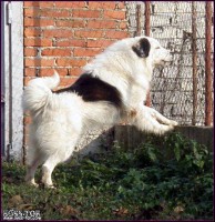 /album/fotogalerie-povaha/a319633-288314704535340-1905463309-n-jpg/