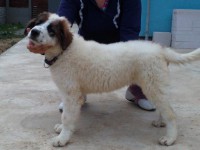 /album/fotogalerie-electra-boss-tor/a101-jpg/