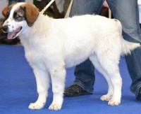 /album/fotogalerie-electra-boss-tor/vystava9-jpg1/