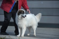 /album/fotogalerie-electra-boss-tor/dsc-5531-jpg/