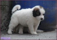 /album/stenata/estera-jpg2/