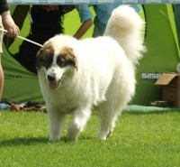 /album/fotogalerie-electra-boss-tor/a1electra-jpg/