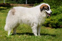 /album/fotogalerie-electra-boss-tor/dsc-2397-zm-jpg/