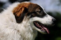 /album/fotogalerie-electra-boss-tor/dsc-2441-zm-jpg/